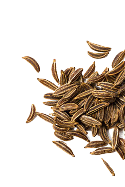 Caraway seed oil