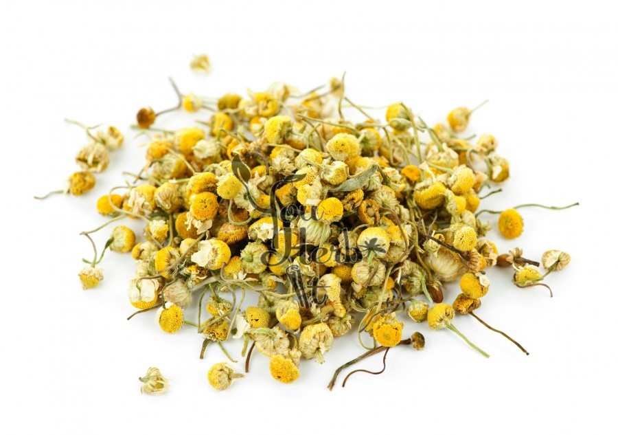 CHAMOMILE