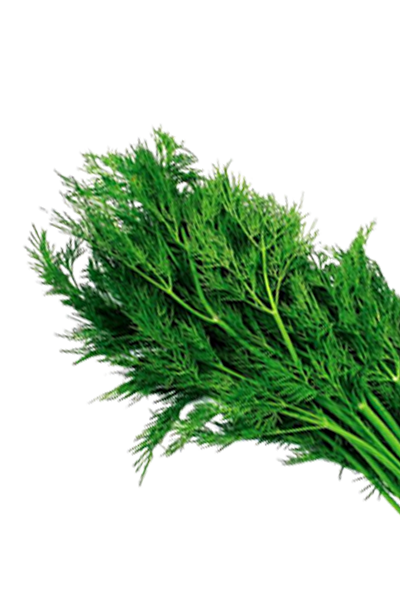 Dill weed oil